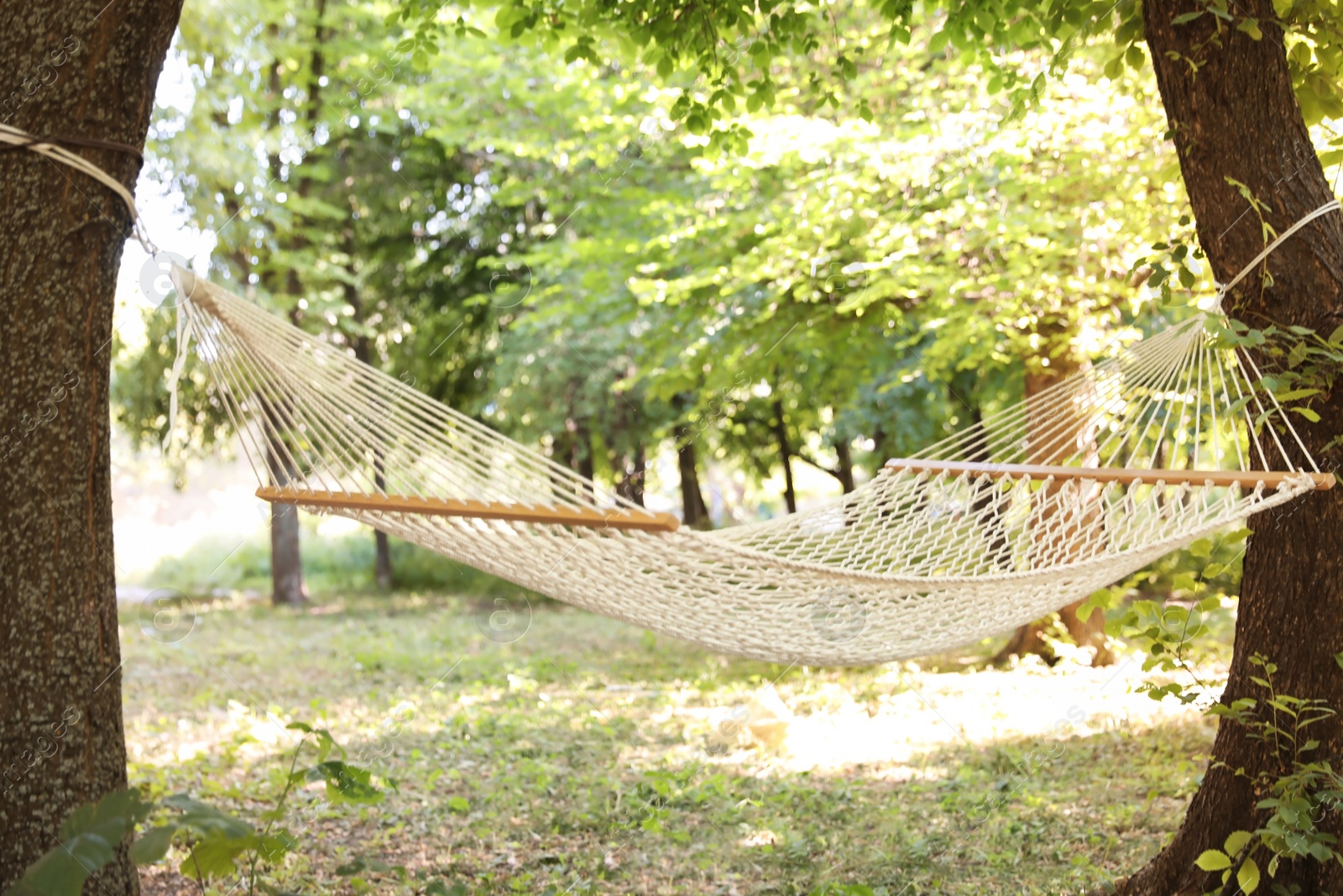 Photo of Empty hammock outdoors on sunny day. Summer camp