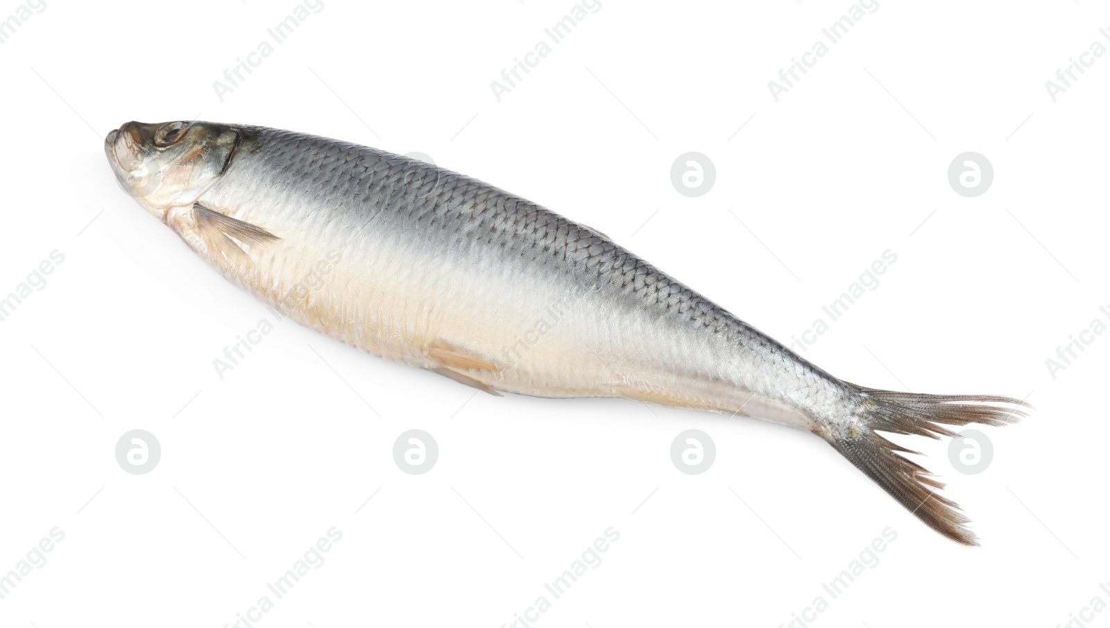 Photo of Whole delicious salted herring isolated on white