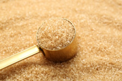 Photo of Scoop on granulated brown sugar, closeup view