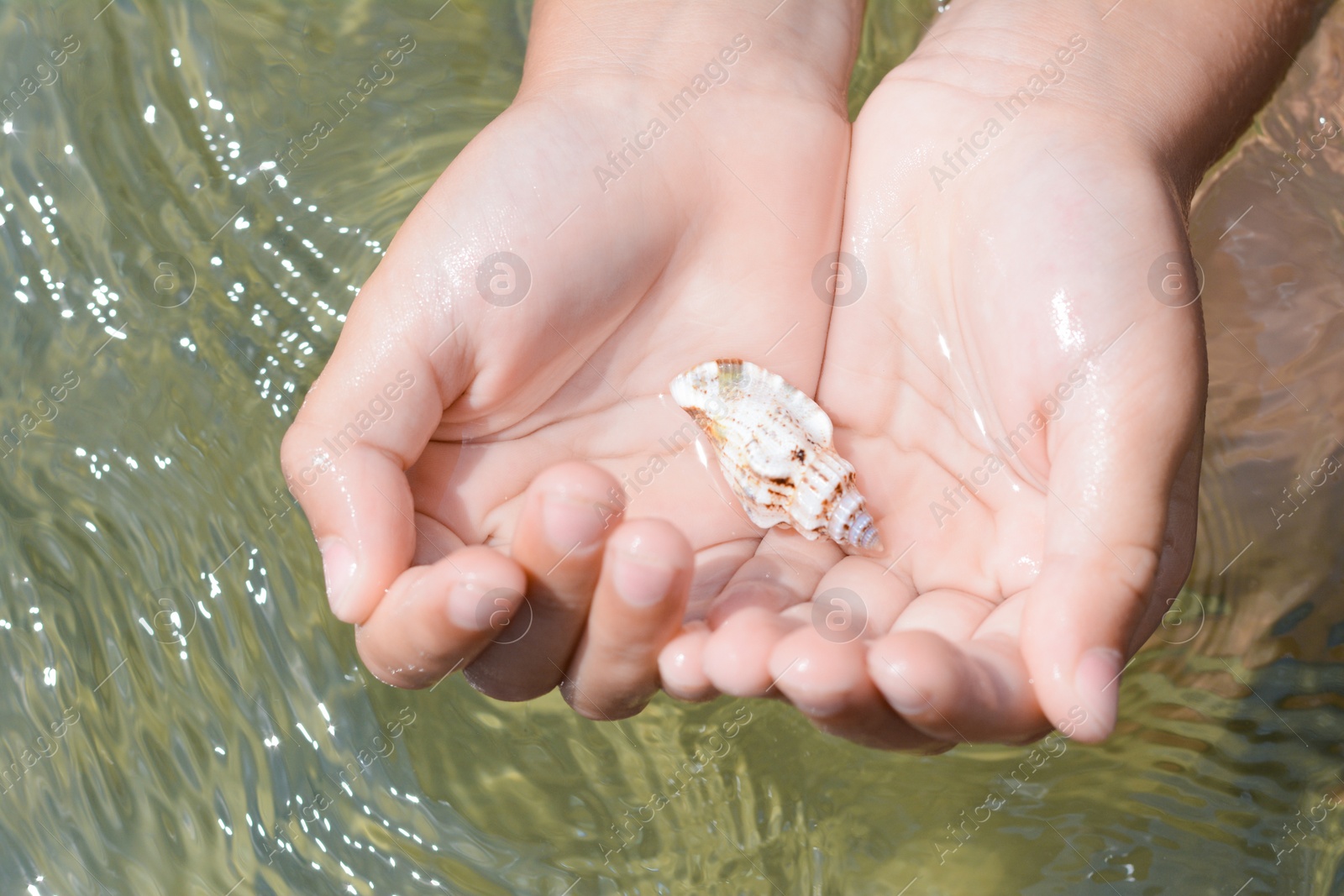 Photo of Kid holding seashell in hands above water outdoors, closeup