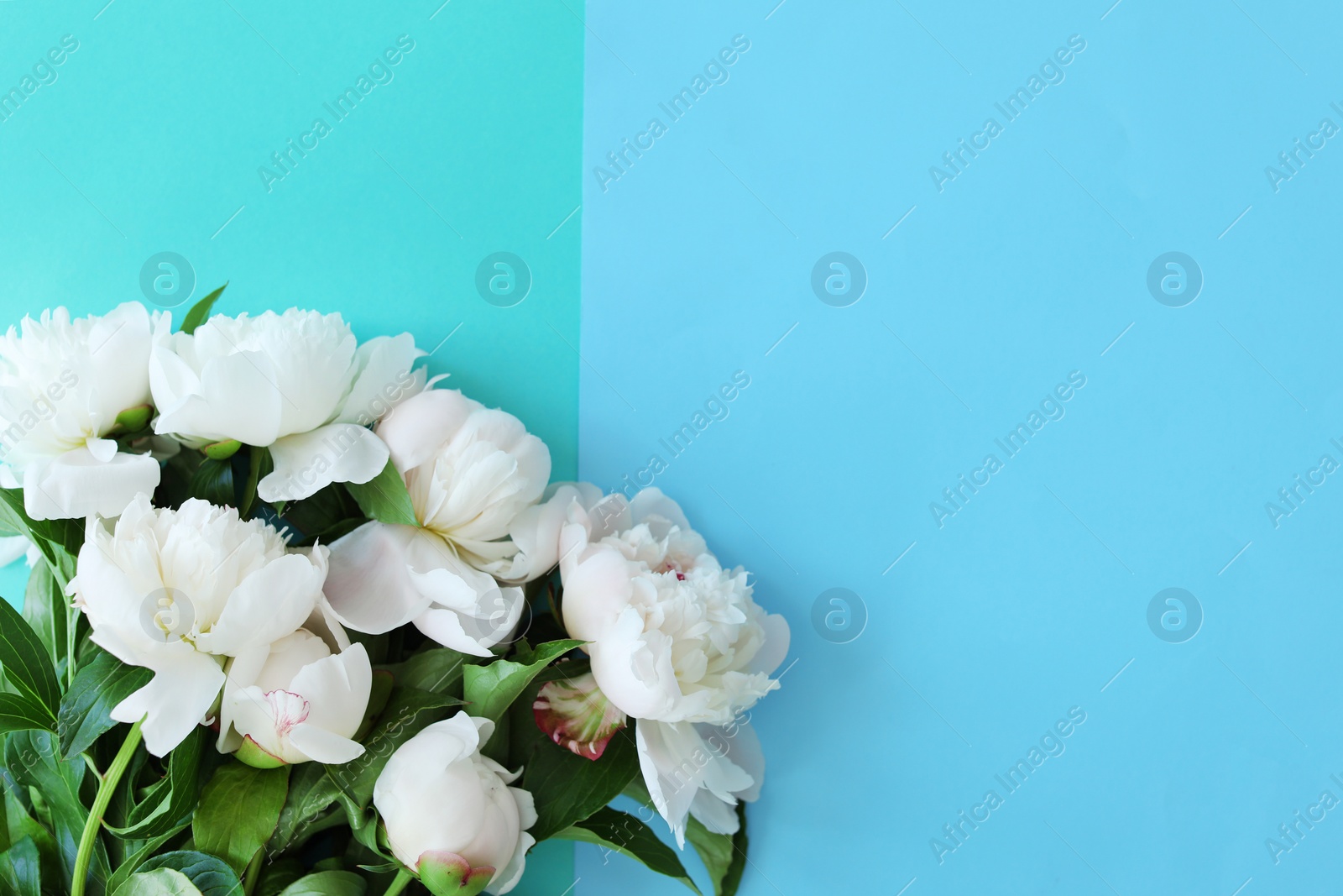 Photo of Bouquet of beautiful flowers on color background, top view