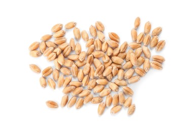 Pile of wheat grains on white background, top view