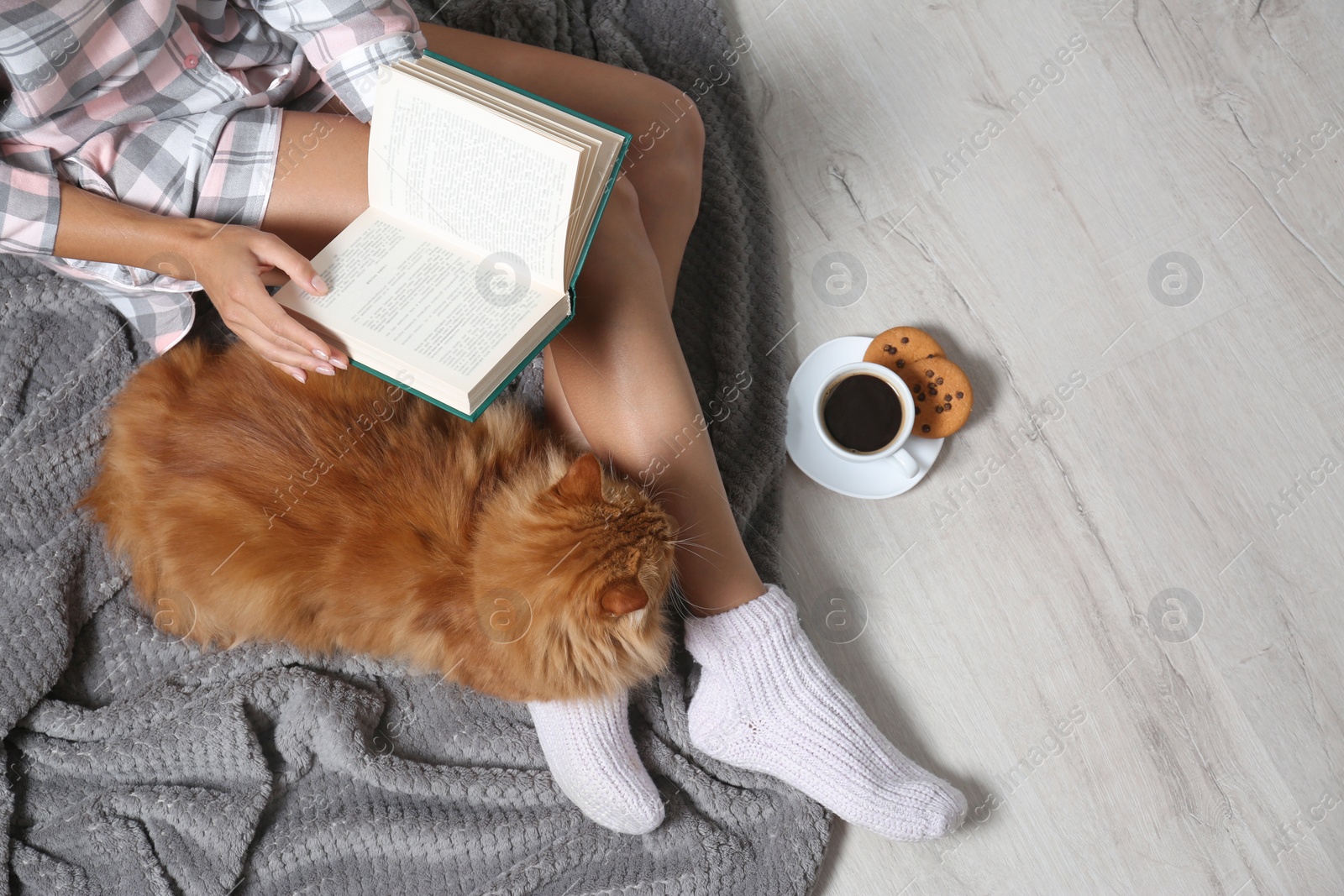 Photo of Woman with cute red cat and book on floor, top view. Space for text