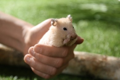 Woman with cute little hamster outdoors, closeup. Space for text