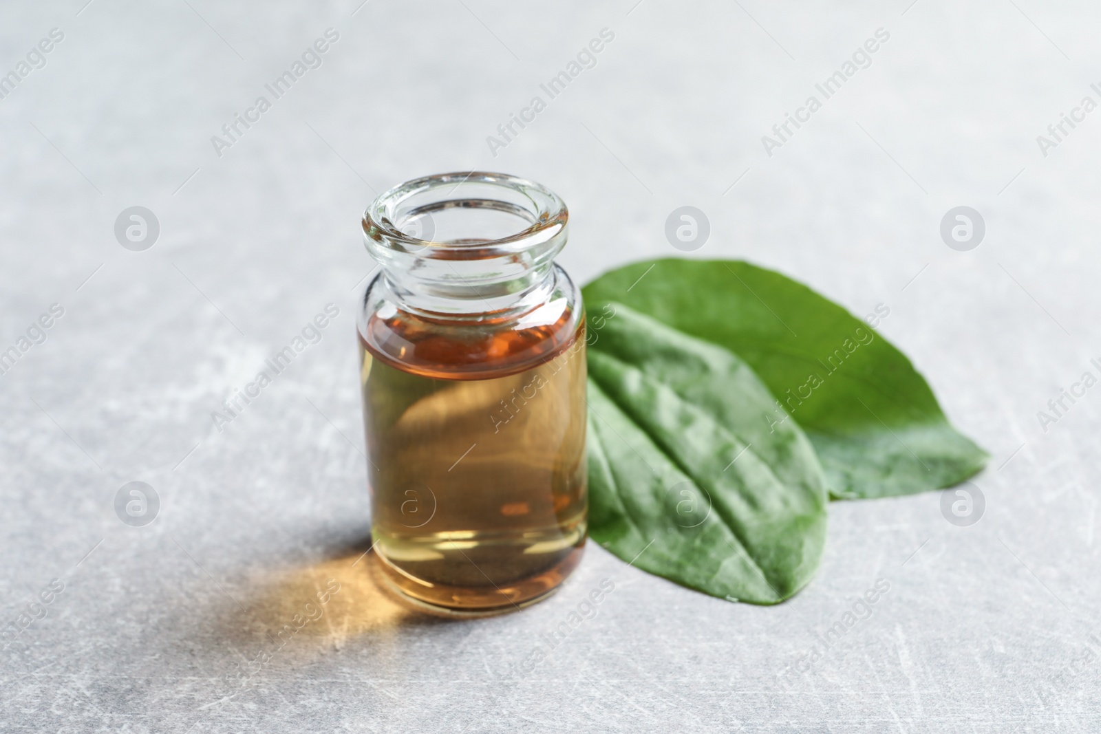 Photo of Bottle of broadleaf plantain extract and leaves on light  table