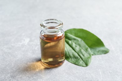 Bottle of broadleaf plantain extract and leaves on light  table