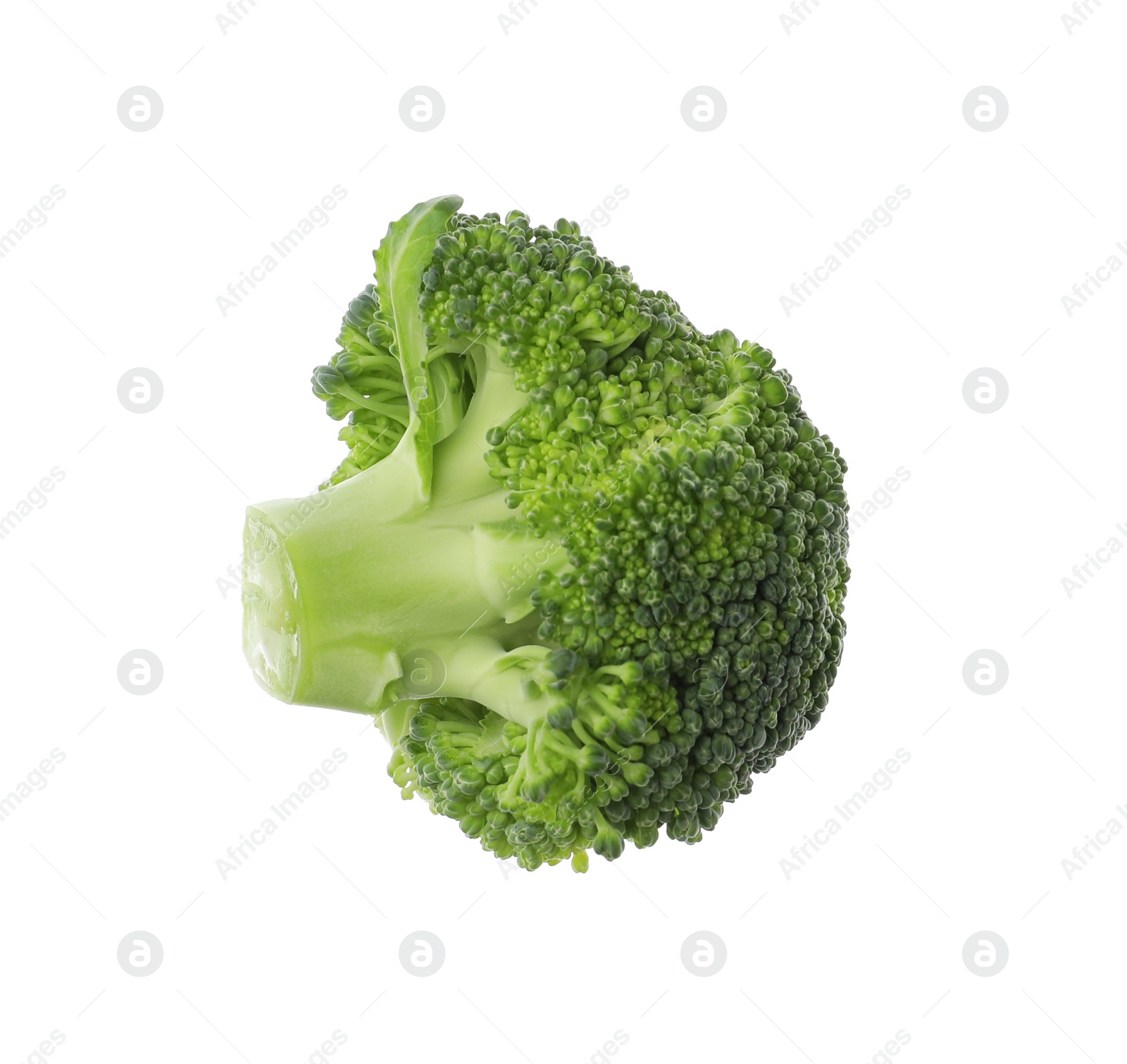 Photo of Piece of fresh green broccoli isolated on white