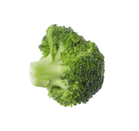 Photo of Piece of fresh green broccoli isolated on white