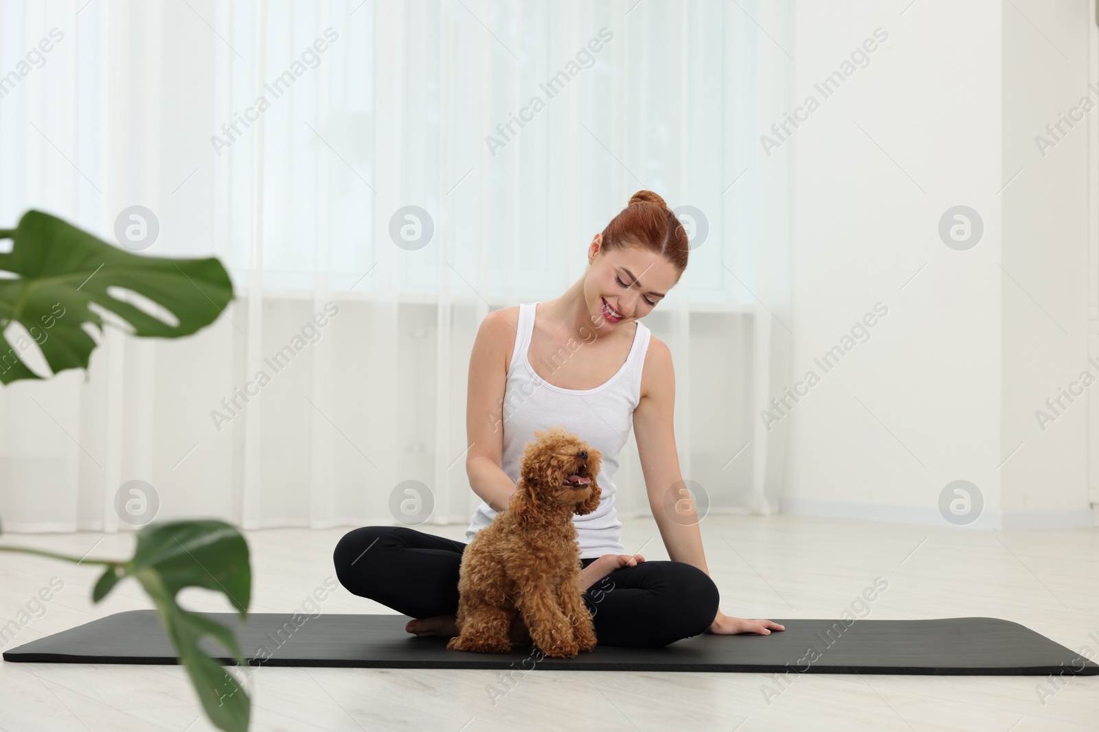 Photo of Happy young woman practicing yoga on mat with her cute dog indoors