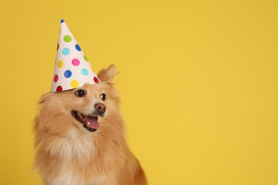 Cute dog with party hat on yellow background, space for text. Birthday celebration