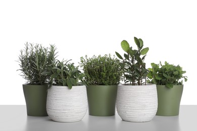 Photo of Pots with thyme, bay, sage, mint and rosemary on white background
