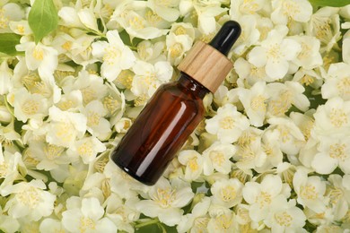 Photo of Essential oil in bottle on beautiful jasmine flowers, top view