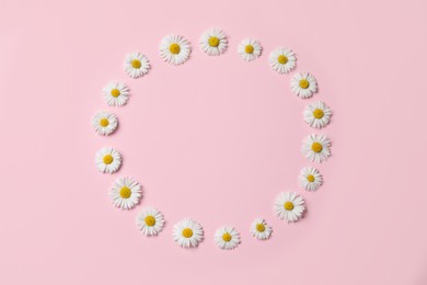 Photo of Frame of daisy flowers on pink background, flat lay. Space for text