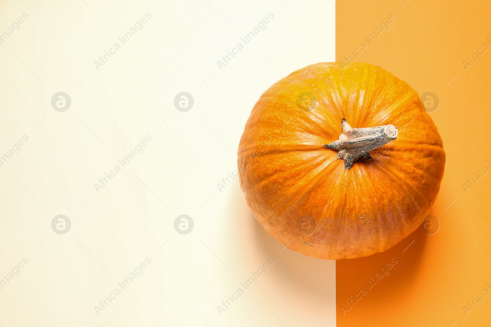 Photo of Pumpkin and space for text on color background, top view. Autumn holidays