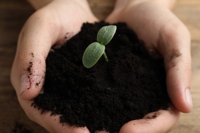 Photo of Woman holding soil with seedling at wooden table, closeup