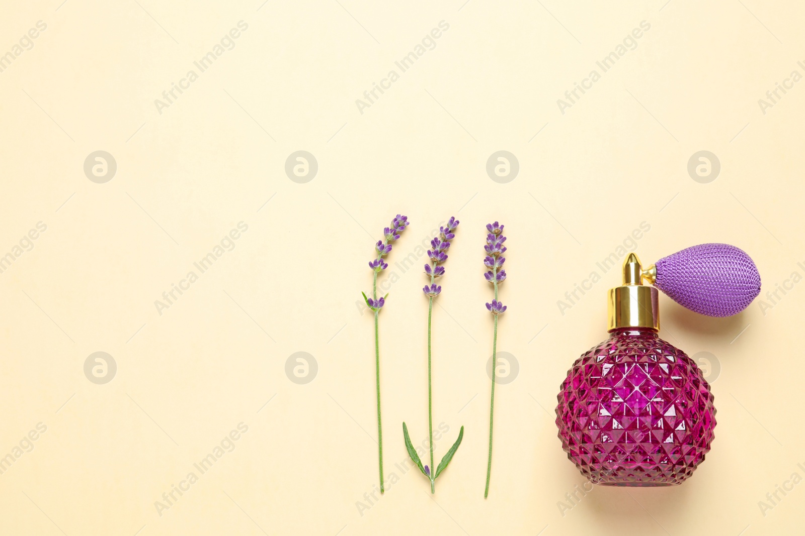 Photo of Flat lay composition with elegant perfume and beautiful flowers on beige background, space for text