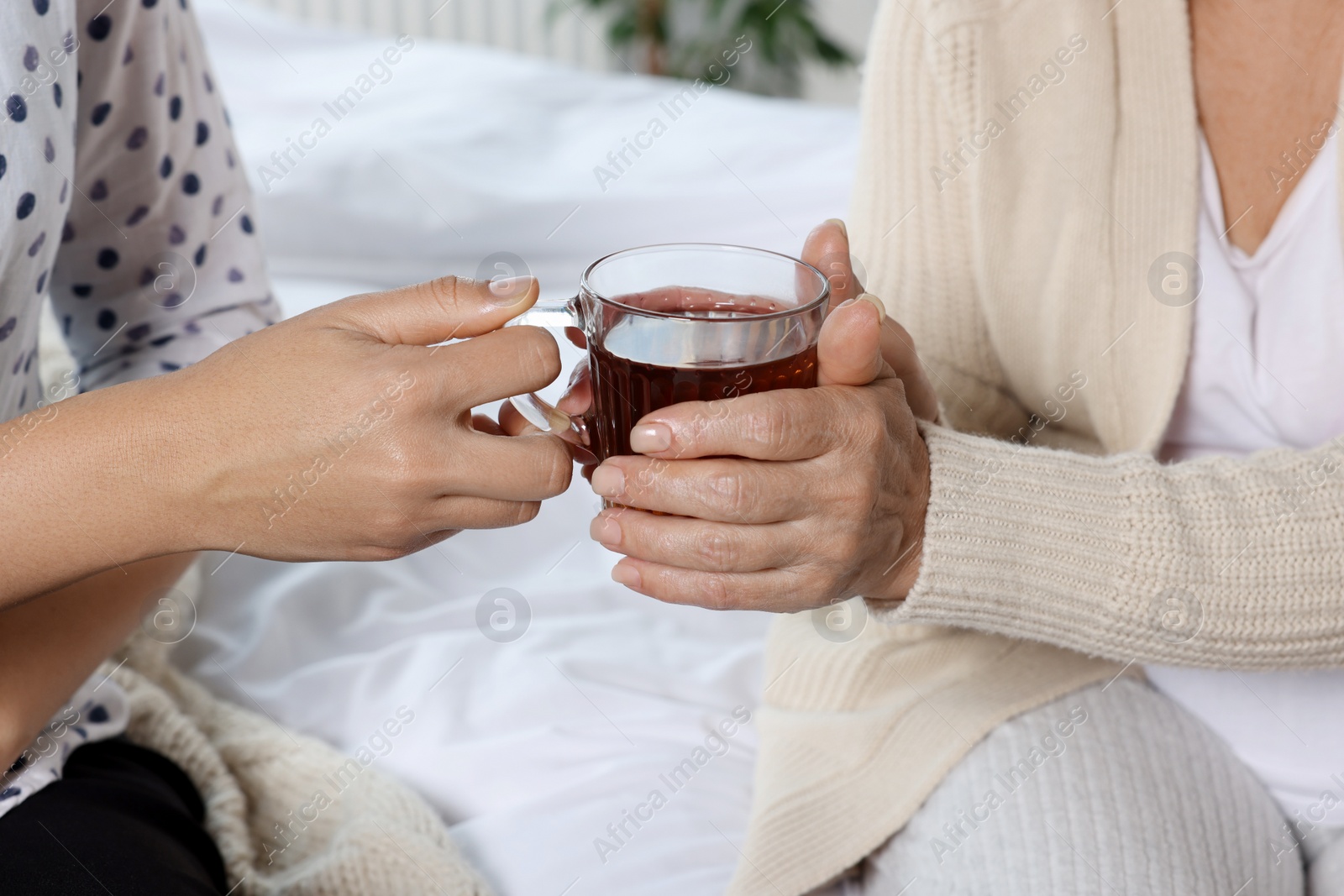 Photo of Caregiver giving tea to elderly woman at home, closeup