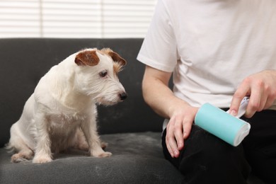 Photo of Pet shedding. Man with lint roller removing dog's hair from pants at home, closeup