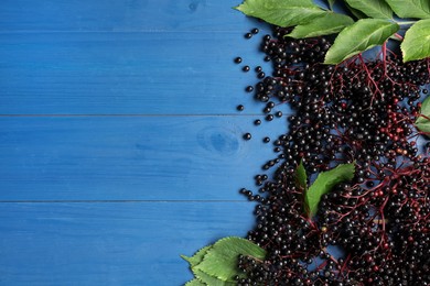 Photo of Ripe elderberries with green leaves on blue wooden table, flat lay. Space for text