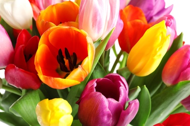 Beautiful bouquet of bright tulip flowers on light background, closeup