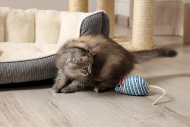 Photo of Cute fluffy kitten with toy mouse at home