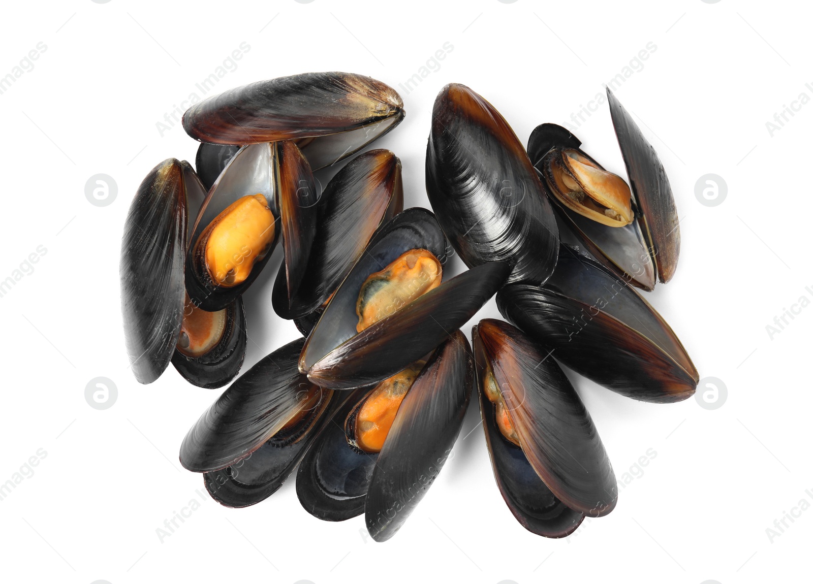 Photo of Delicious cooked mussels in shells on white background, top view