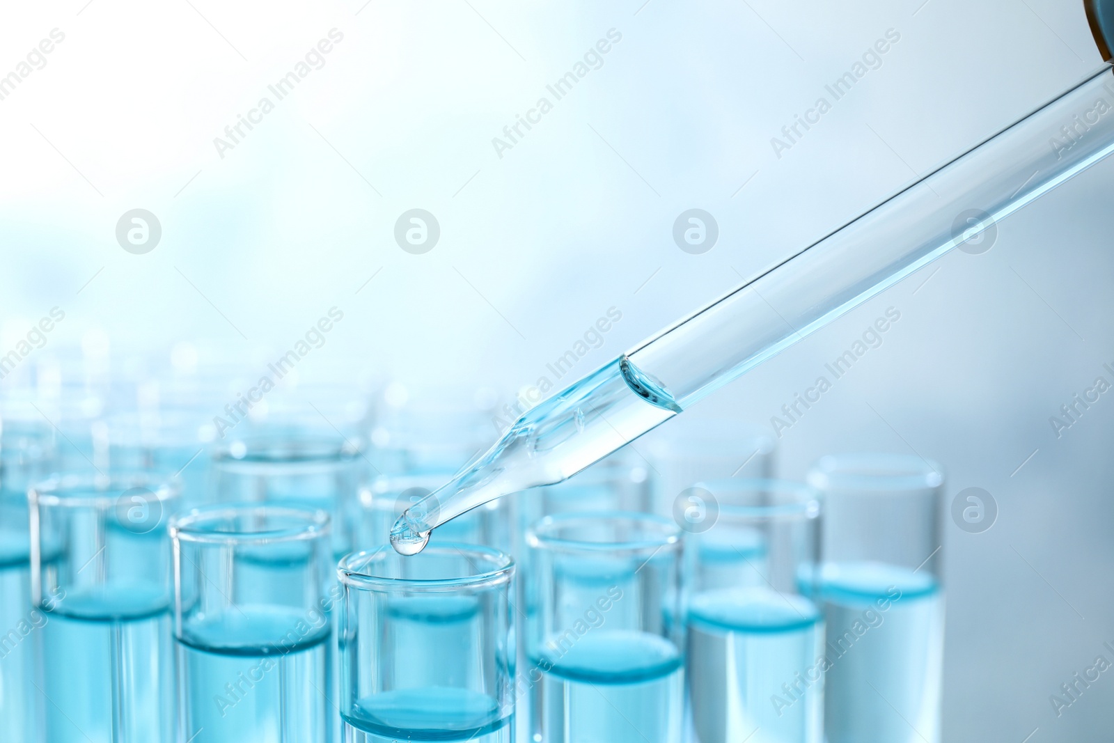 Photo of Dropping sample into test tube with light blue liquid, closeup