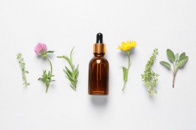 Photo of Bottle of essential oil, different herbs and flowers on white background, flat lay