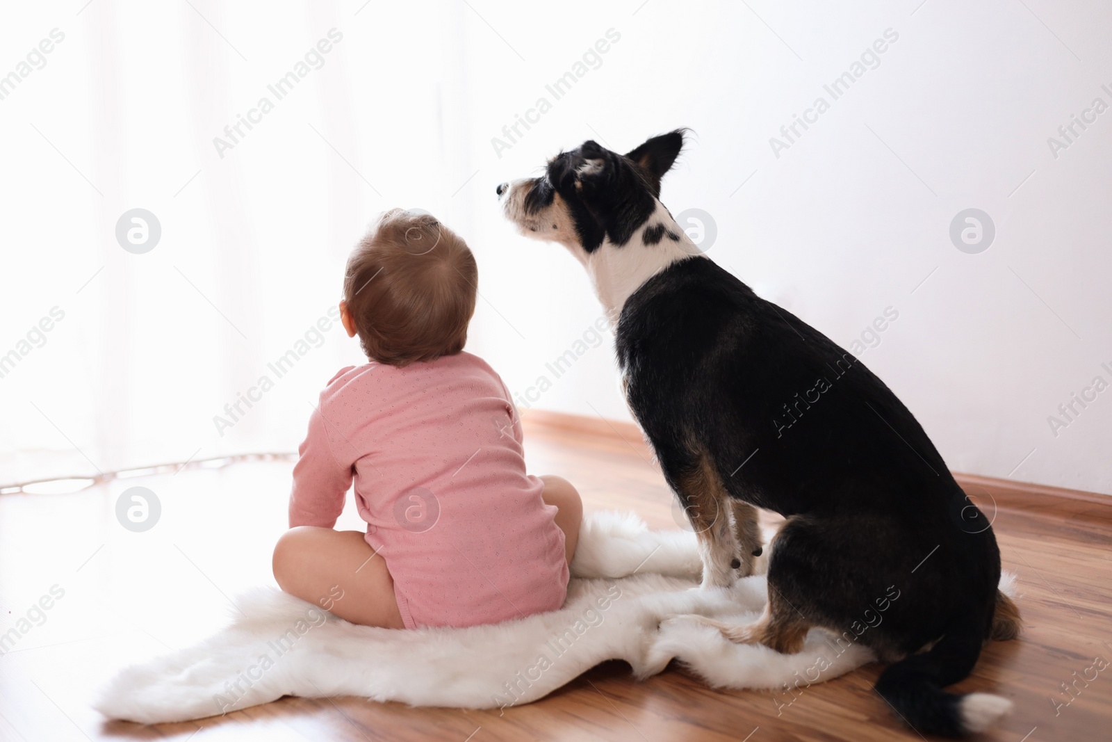 Photo of Adorable baby and cute dog on faux fur rug indoors, back view