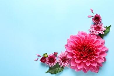 Flat lay composition with beautiful dahlia flowers and space for text on color background