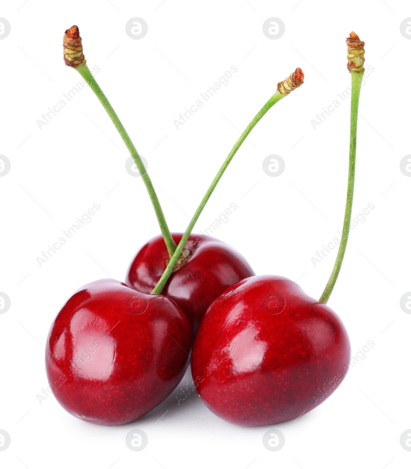 Photo of Delicious fresh ripe cherries isolated on white