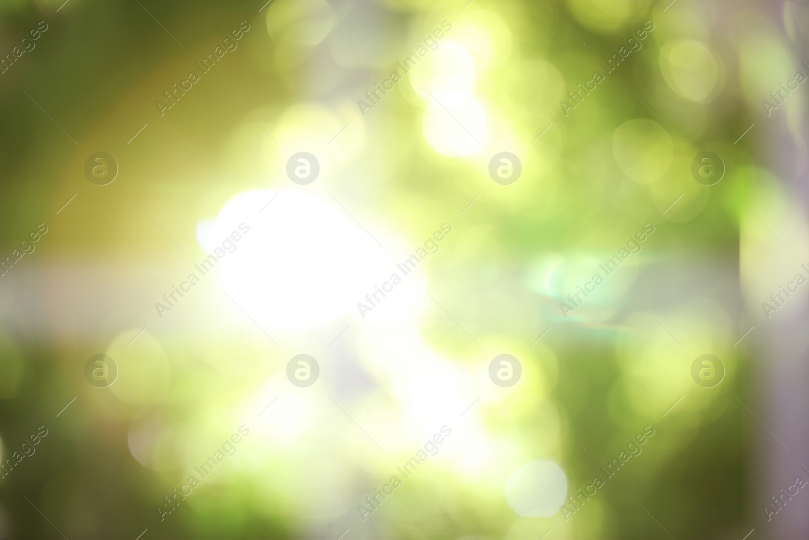 Photo of Blurred view through window on garden in morning