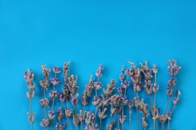 Photo of Beautiful lavender flowers on blue background, flat lay. Space for text