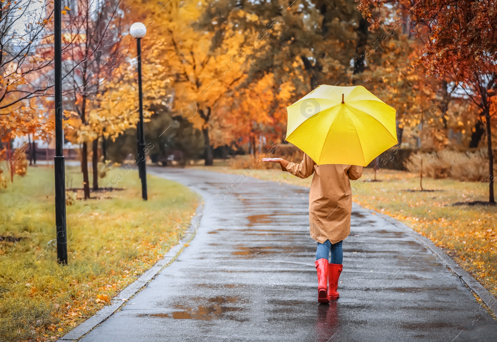 Photo of Woman with umbrella taking walk in autumn park on rainy day