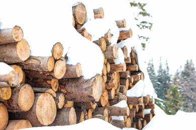 Large pile of firewood covered with snow outdoors, closeup