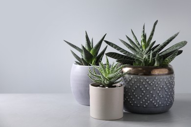 Photo of Beautiful potted houseplants on light background. Space for text