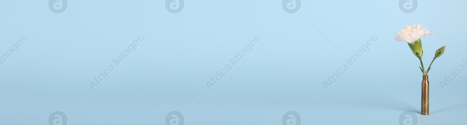 Image of Bullet cartridge case with beautiful carnation flower on light blue background, space for text. Banner design