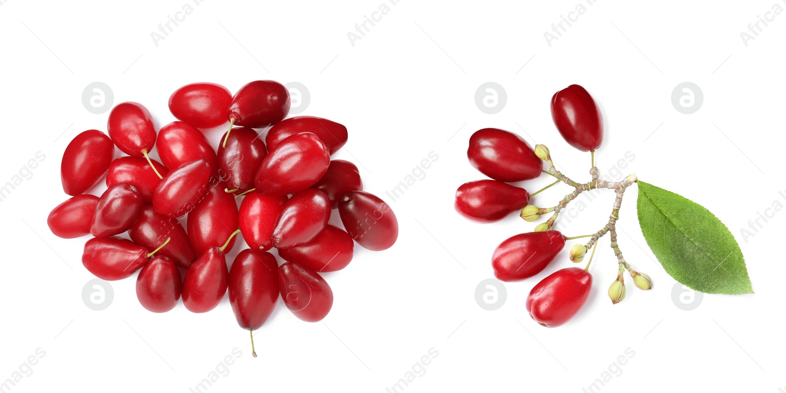 Image of Set of ripe red dogwood berries on white background, top view. Banner design