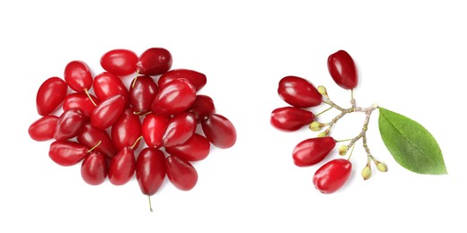 Image of Set of ripe red dogwood berries on white background, top view. Banner design