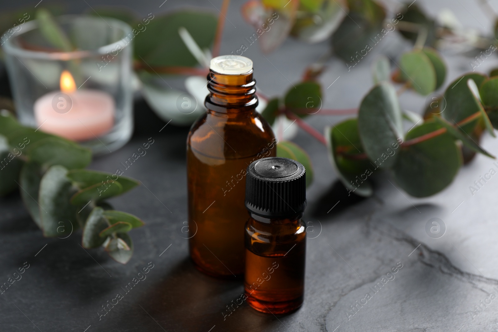 Photo of Bottles of eucalyptus essential oil and plant branches on grey table