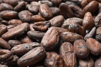 Tasty cocoa beans as background, closeup view