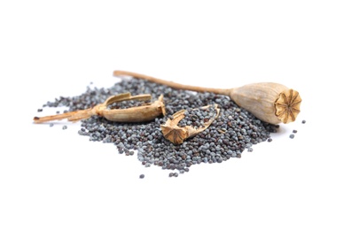 Dry poppy heads with seeds on white background