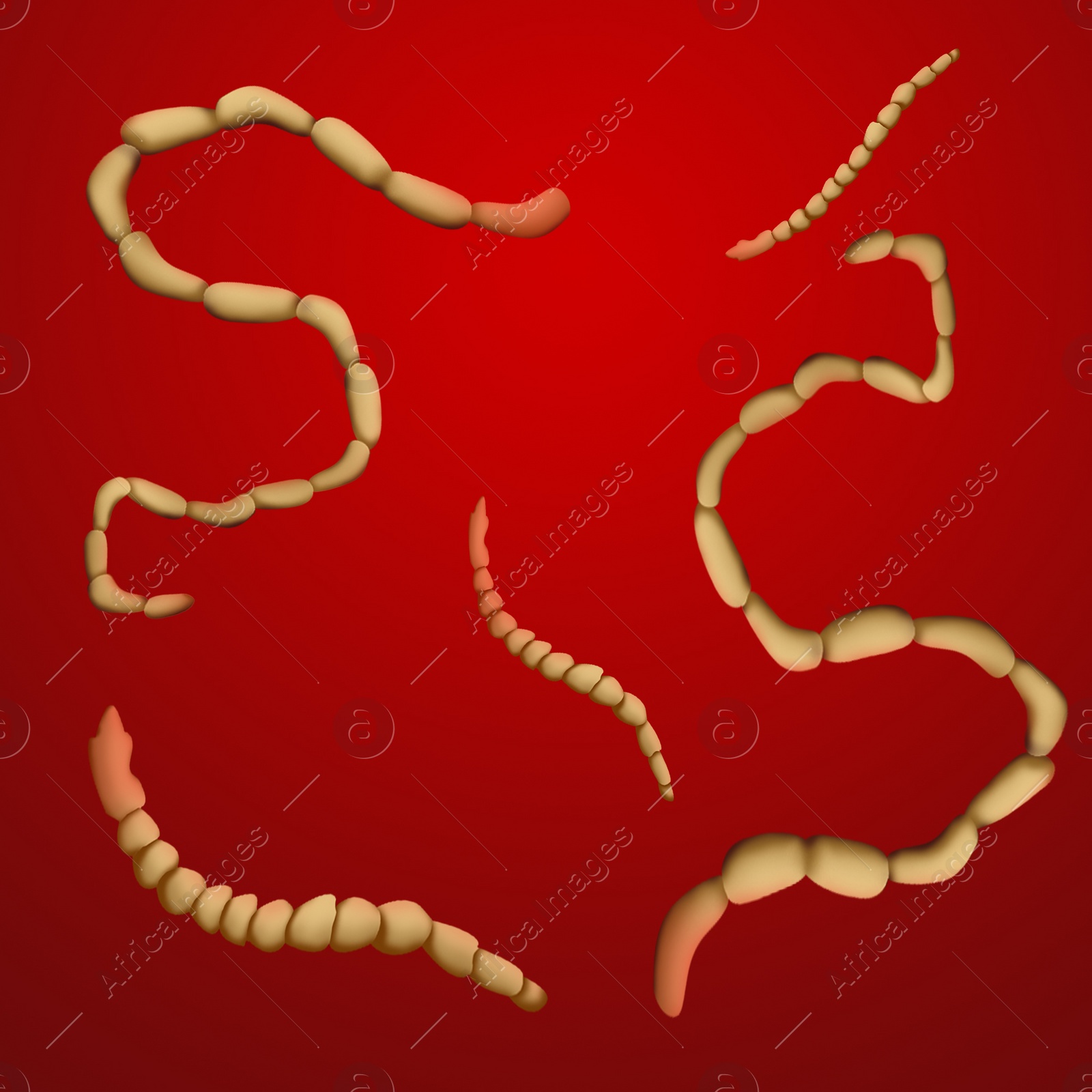 Illustration of  helminths on color background. Parasites in human body