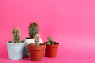 Photo of Set of potted cacti on pink background, space for text