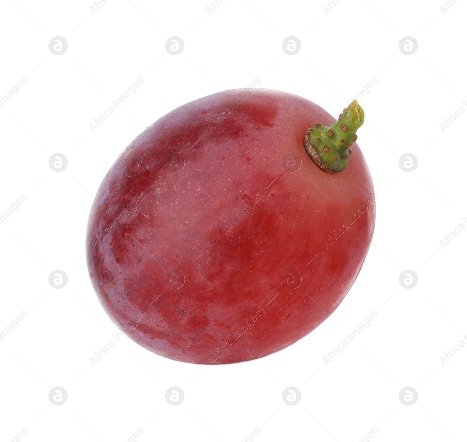 Photo of One ripe red grape isolated on white