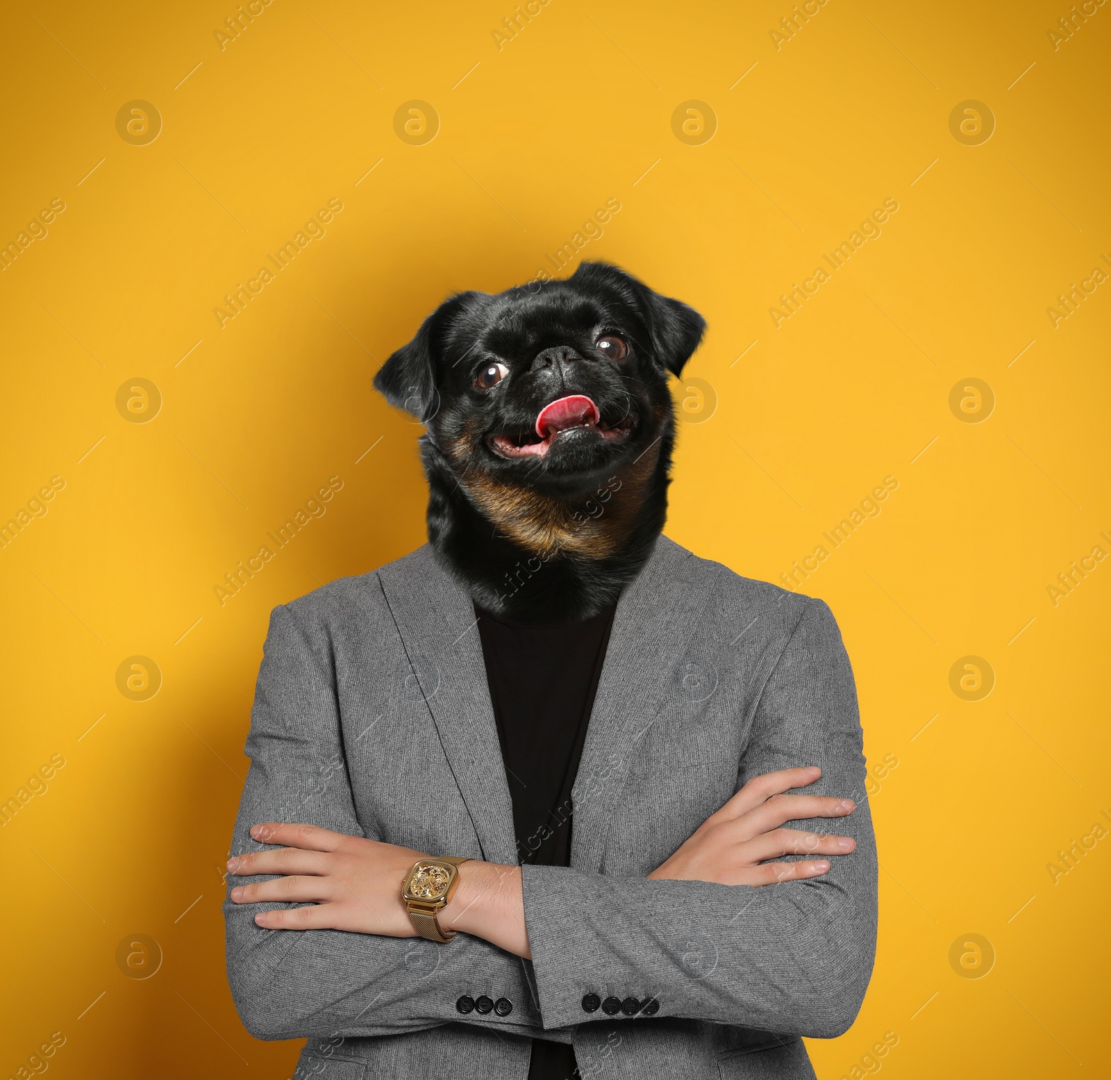 Image of Portrait of businessman with dog face on yellow background