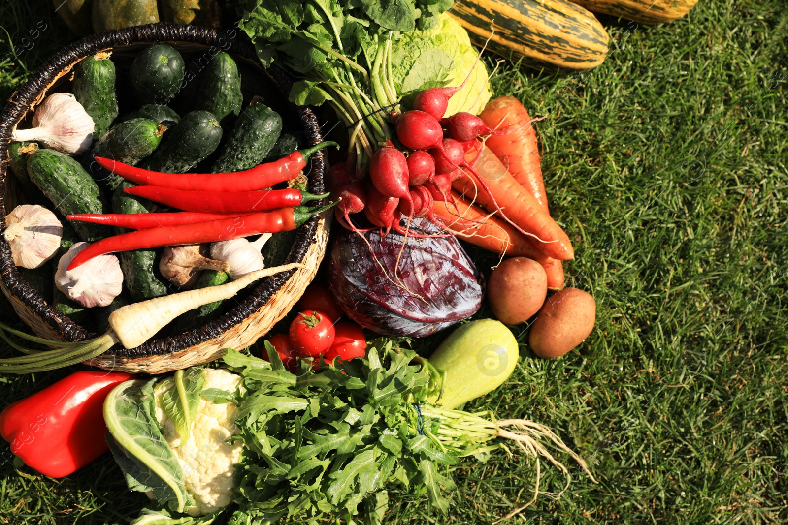 Photo of Different fresh ripe vegetables on green grass, flat lay