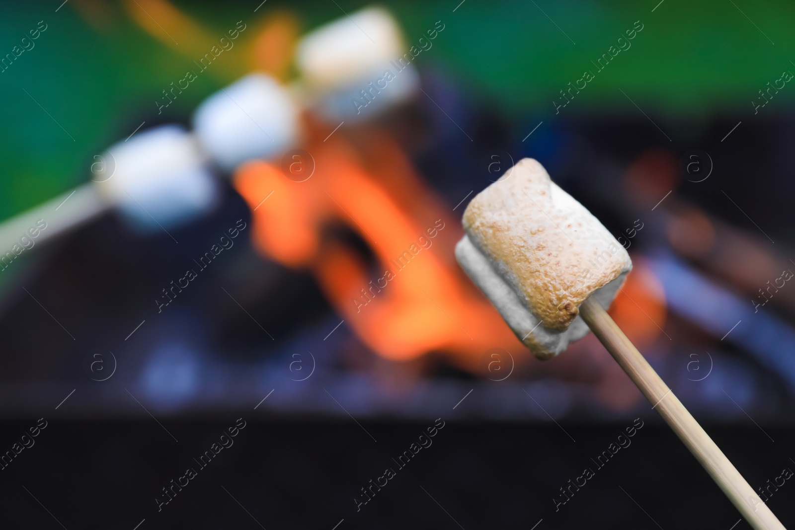 Photo of Delicious puffy marshmallows roasting over bonfire, closeup. Space for text