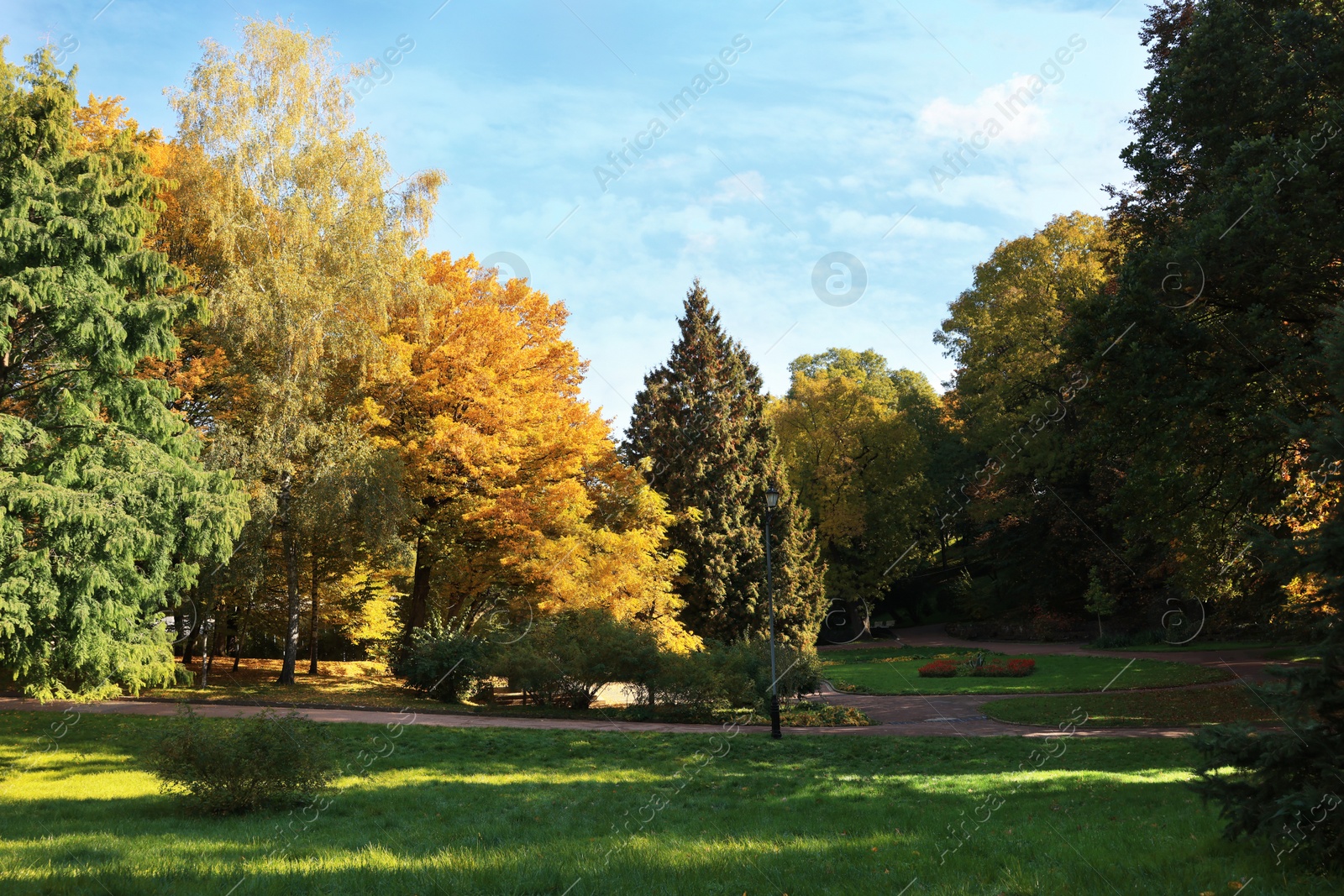 Photo of Picturesque view of park with beautiful trees and green grass on autumn day