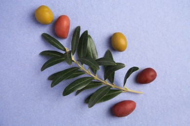 Different fresh olives and leaves on violet background, flat lay